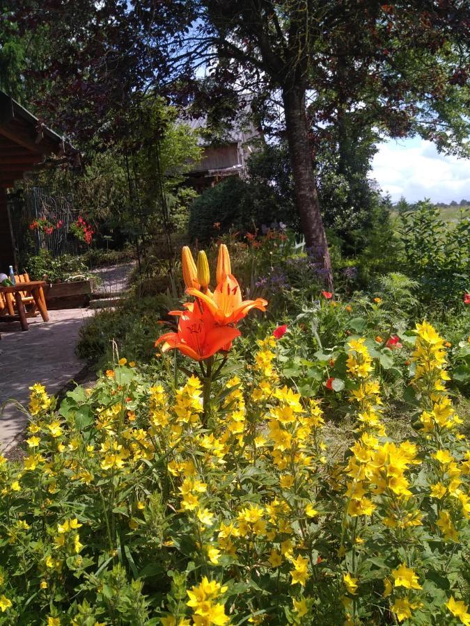 Chalet Le Paradou Adults Only Lessive Eksteriør bilde